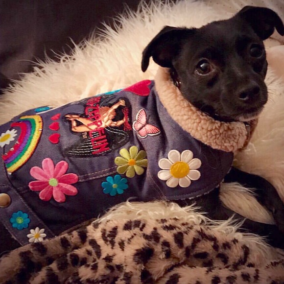 Meet your Posher, Karen - Picture 7 of 8